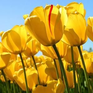 Meet your Posher, Joanna